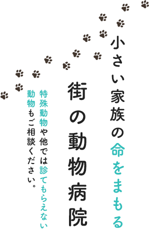 小さい家族の命をまもる街の動物病院 特殊動物や他では診てもらえない動物もご相談ください