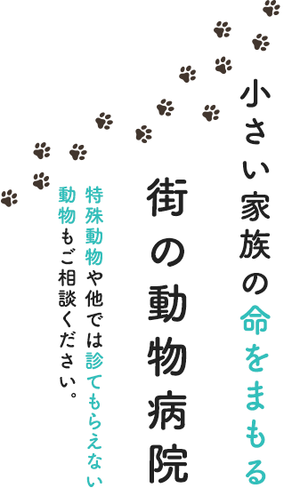 小さい家族の命をまもる街の動物病院 特殊動物や他では診てもらえない動物もご相談ください